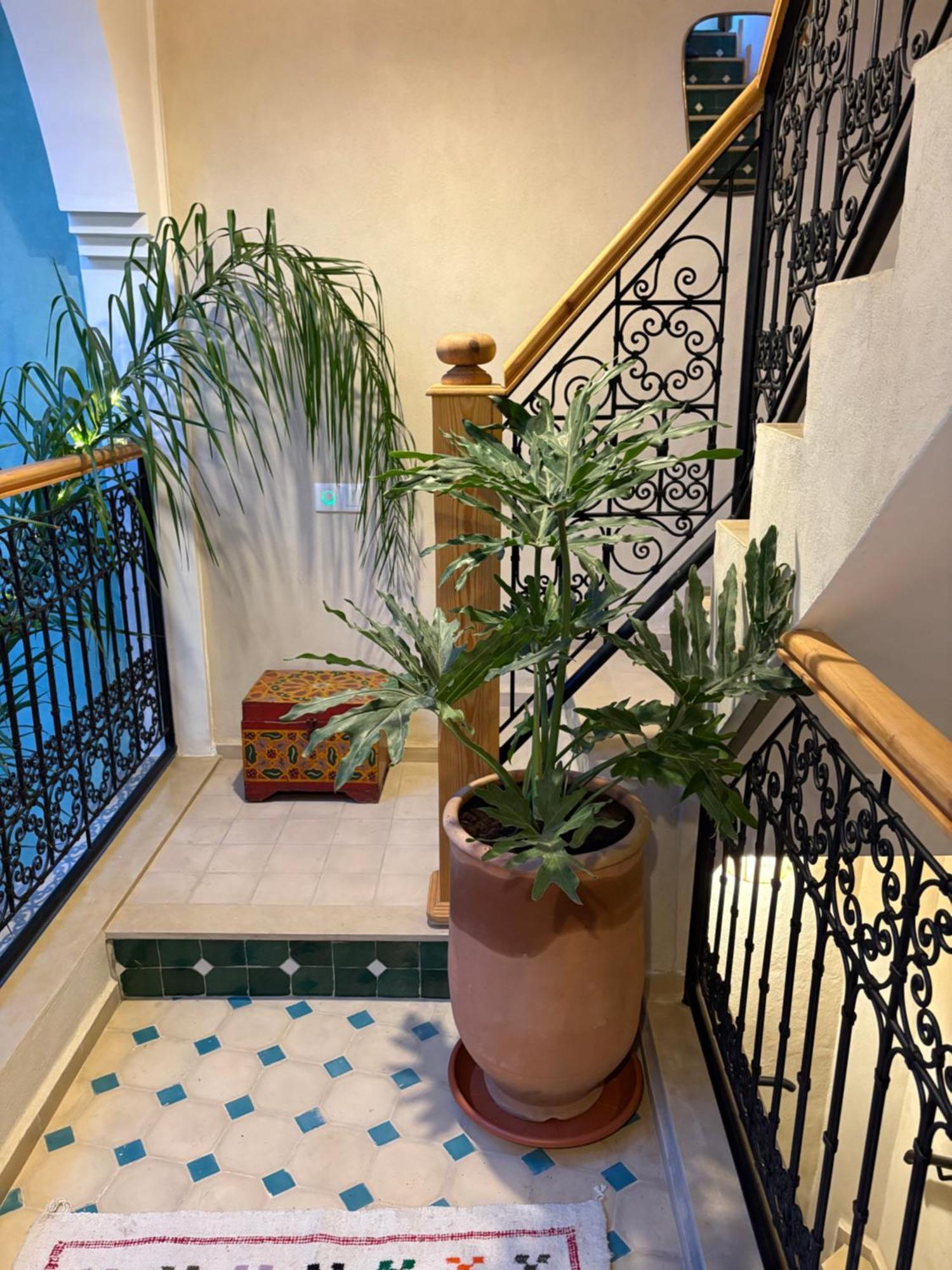 Riad212 Private Medina Fast Wi-Fi Plunge Pool Marakeş Dış mekan fotoğraf